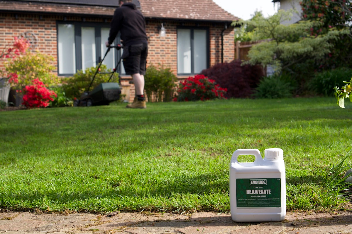Yard Bros Fertiliser for Plants