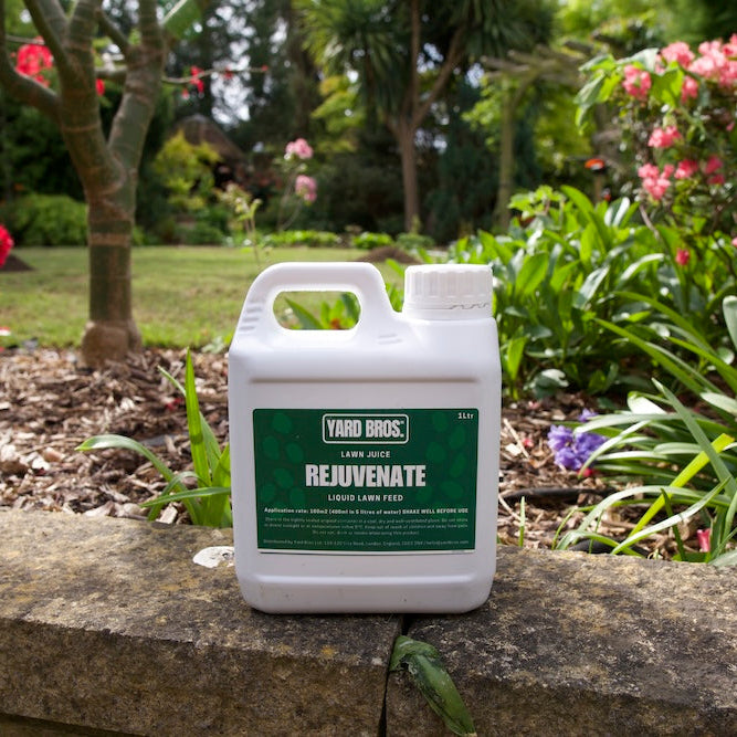 Yard Bros Rejuvenate lawn feed container on a stone ledge with a garden background